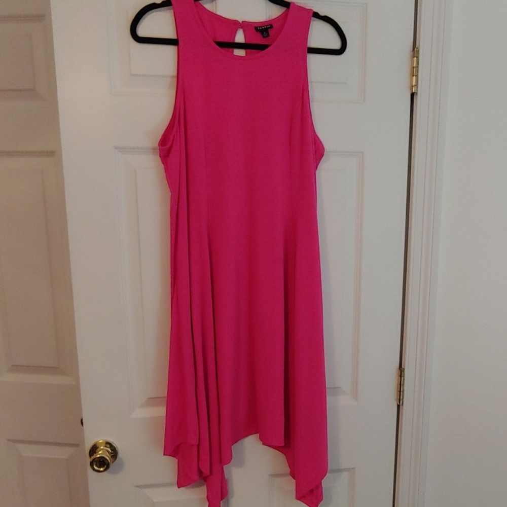 Torrid pink trapeze dress